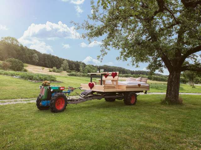 Schlafen unter dem Apfelbaum Schlafen unter dem Apfelbaum