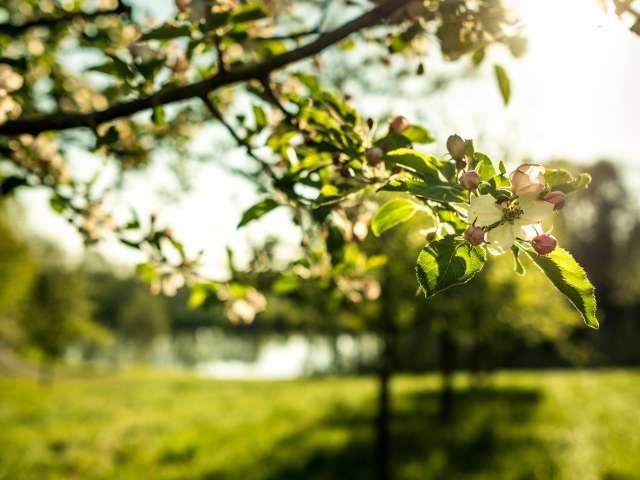 Übernachtungstipps von Madame Bluescht Übernachtungstipps von Madame Bluescht