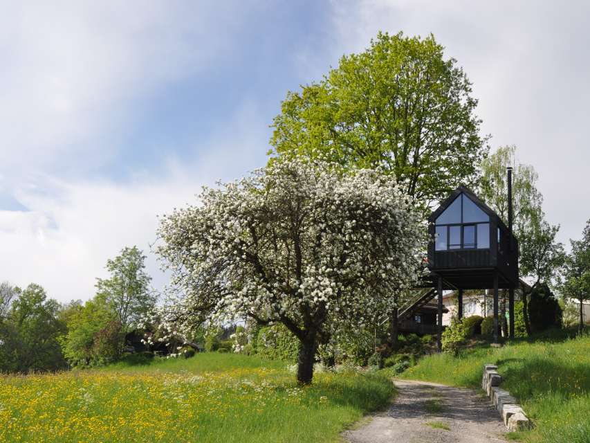 Baumhaus Thurgau Baumhaus Thurgau